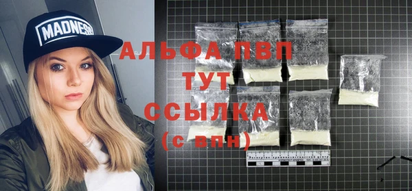 PSILOCYBIN Липки