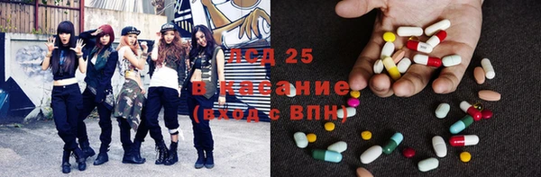 хмурый Нестеровская
