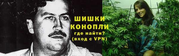 PSILOCYBIN Липки