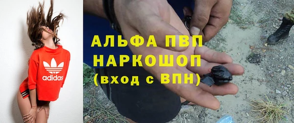 ПСИЛОЦИБИНОВЫЕ ГРИБЫ Лиски