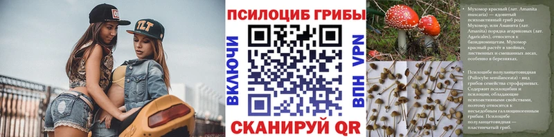 цена   Севастополь  Галлюциногенные грибы MAGIC MUSHROOMS 